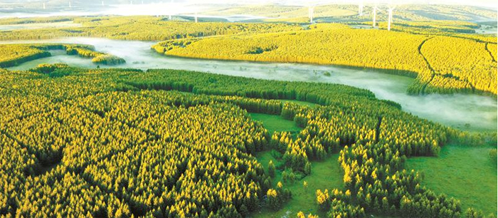 牢记嘱托描绘林草高质量发展新画卷——写在习近平总书记考察河北省塞罕坝机械林场一周年之际 牢记嘱托描绘林草高质量发展新画卷——写在习近平总书记考察河北省塞罕坝机械林场一周年之际